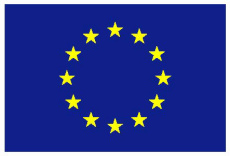 Image: EU flag