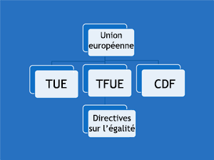 Cette illustration procure un aperu des sources de droit au sein de lUnion europenne en matire dgalit et de leur hirarchie.