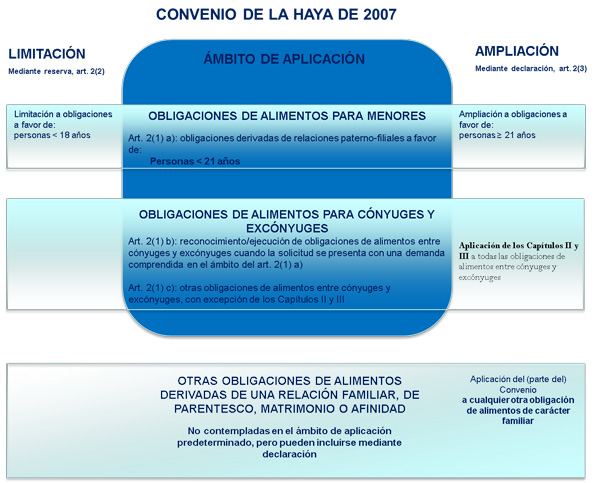 El convenio de La Haya de 2007