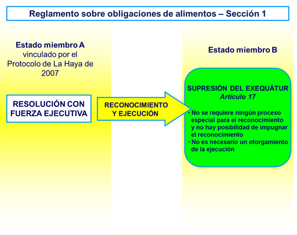  Reglamento sobre obligaciones de alimentos - Sección 1