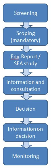 Steps of the SEA procedure