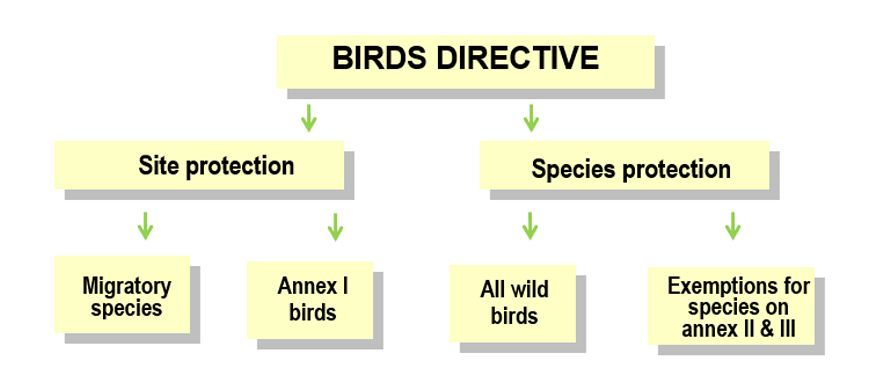 Birds Directive Birds Directive