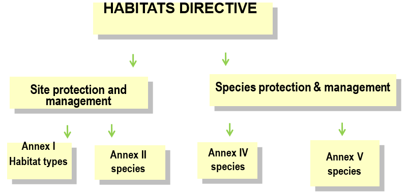 Habitats Directive