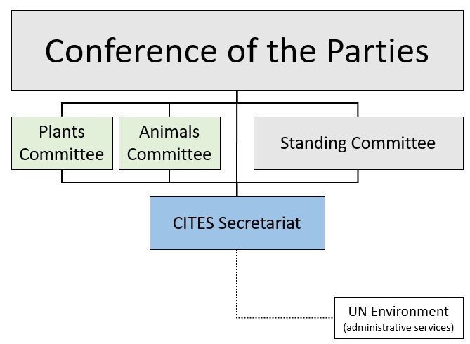 Conference of the Parties