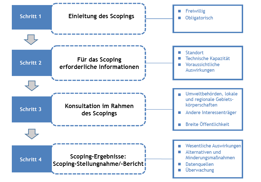 Der Prozess des Scopings