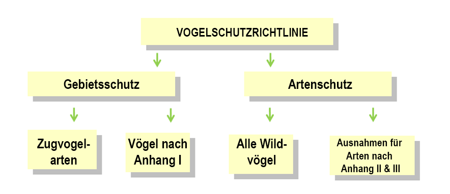 Birds Directive Birds Directive