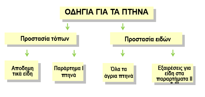 Birds Directive