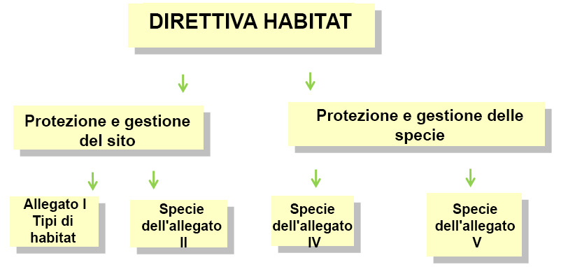 La direttiva Habitat La direttiva Habitat