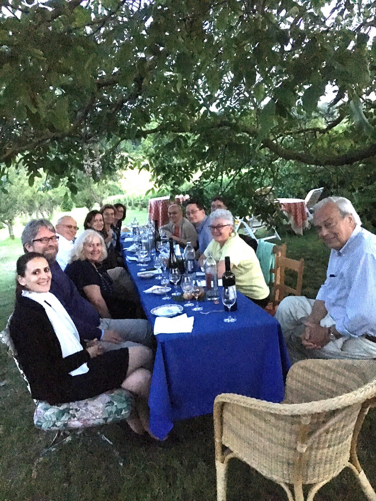 “Under the Mirabelle Tree”