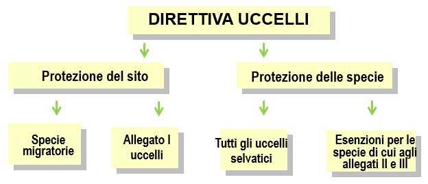 La direttiva Uccelli La direttiva Uccelli