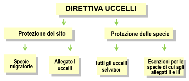 La direttiva Uccelli