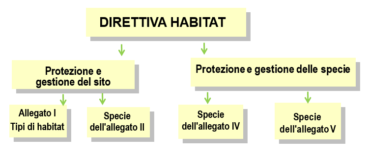 Habitats Directive Habitats Directive