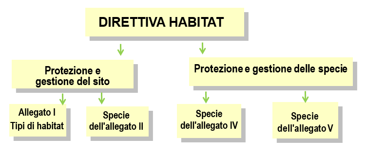 Habitats Directive