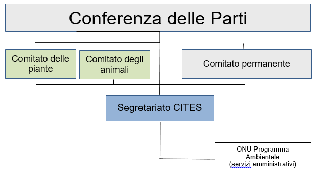 Conferenza delle Parti